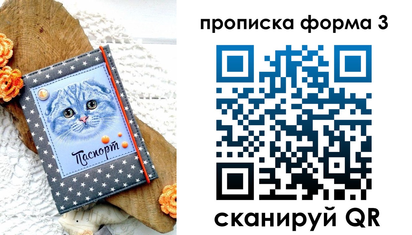 прописка поиск в Краснокамске